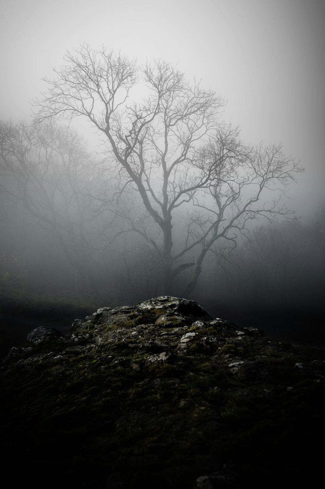 shadowy villain in fog