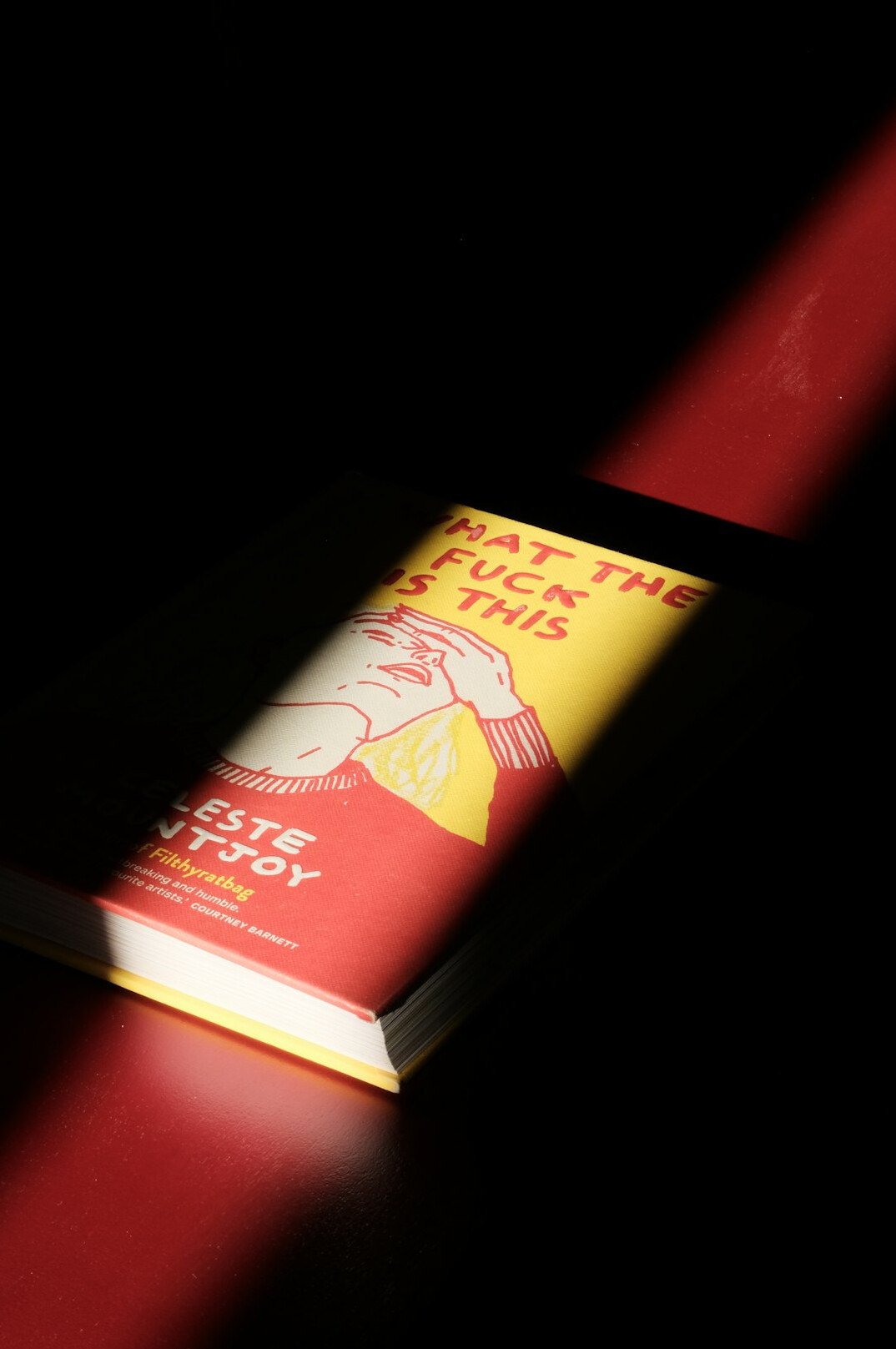 mystery novel cover